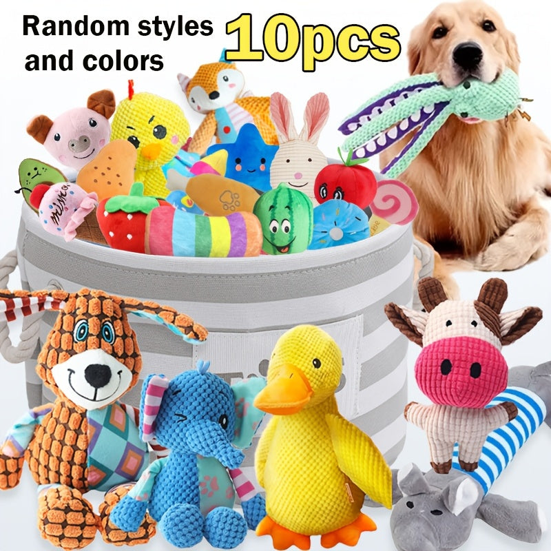 5 Random Style Dog Squeak Toy Set